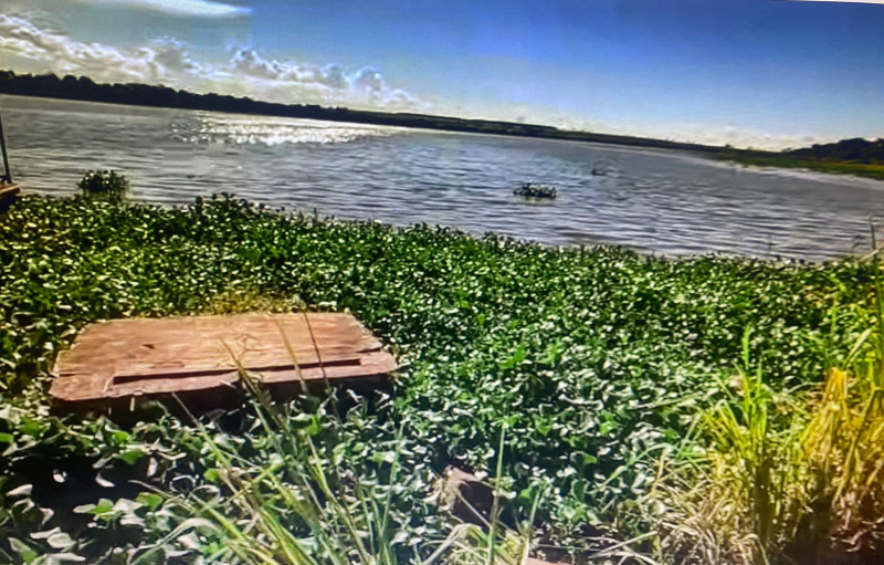 Rio Turvo  Cardoso SP