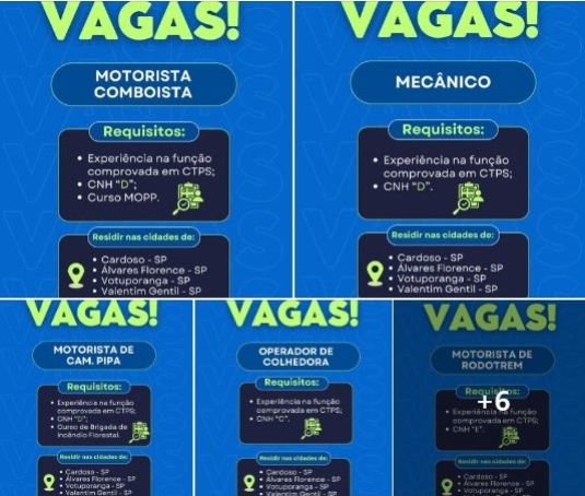 foto Not&iacute;cia Cardoso