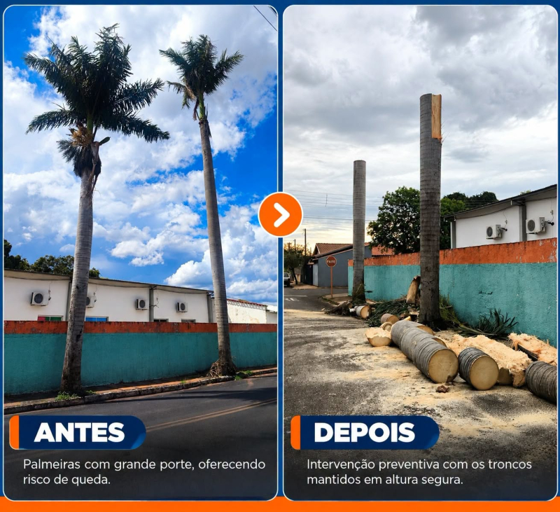 foto Not&iacute;cia Cardoso