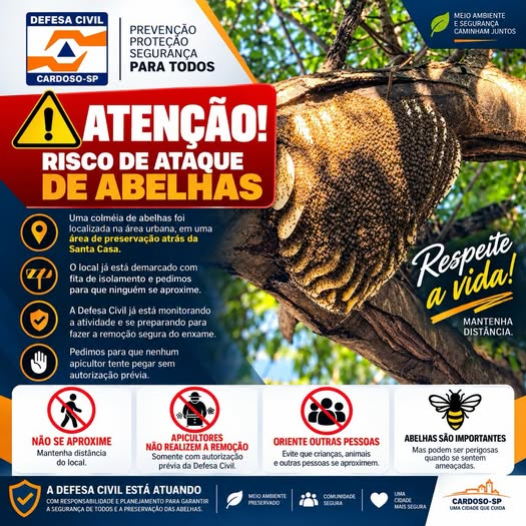 foto Not&iacute;cia Cardoso