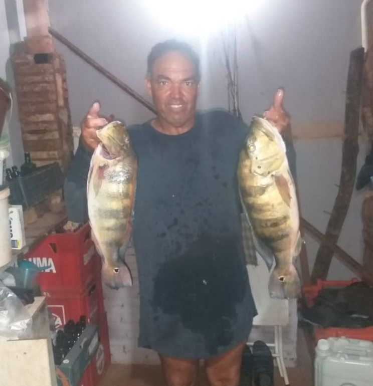 Odivaldo Araujo (Vadim) Cardoso SP