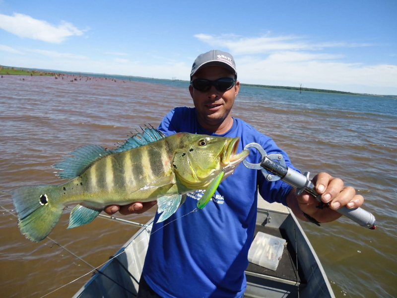 Anderson Pescador Cardoso SP