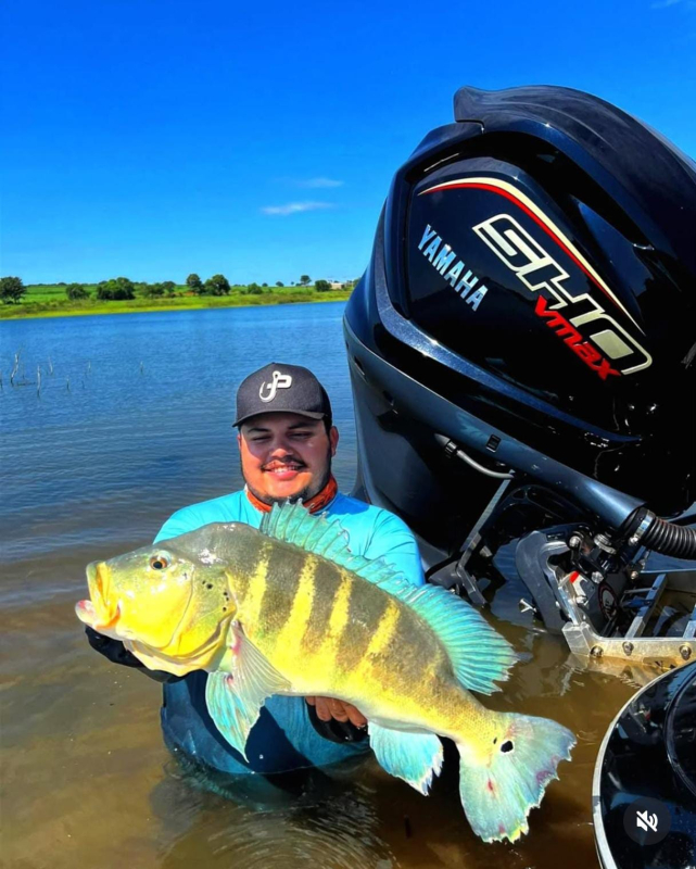 Aran Marques  Cardoso SP