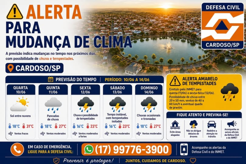 foto Not&iacute;cia Cardoso