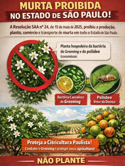 foto Not&iacute;cia Cardoso