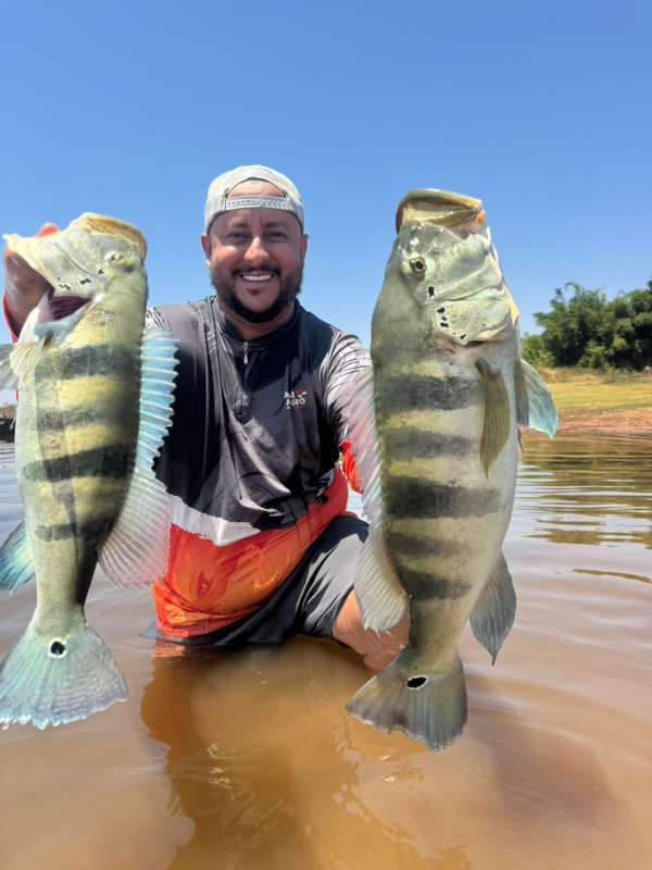 Neldson Rodrigues ( Fii) Cardoso SP