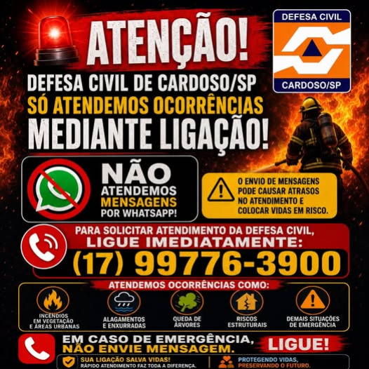 foto Not&iacute;cia Cardoso
